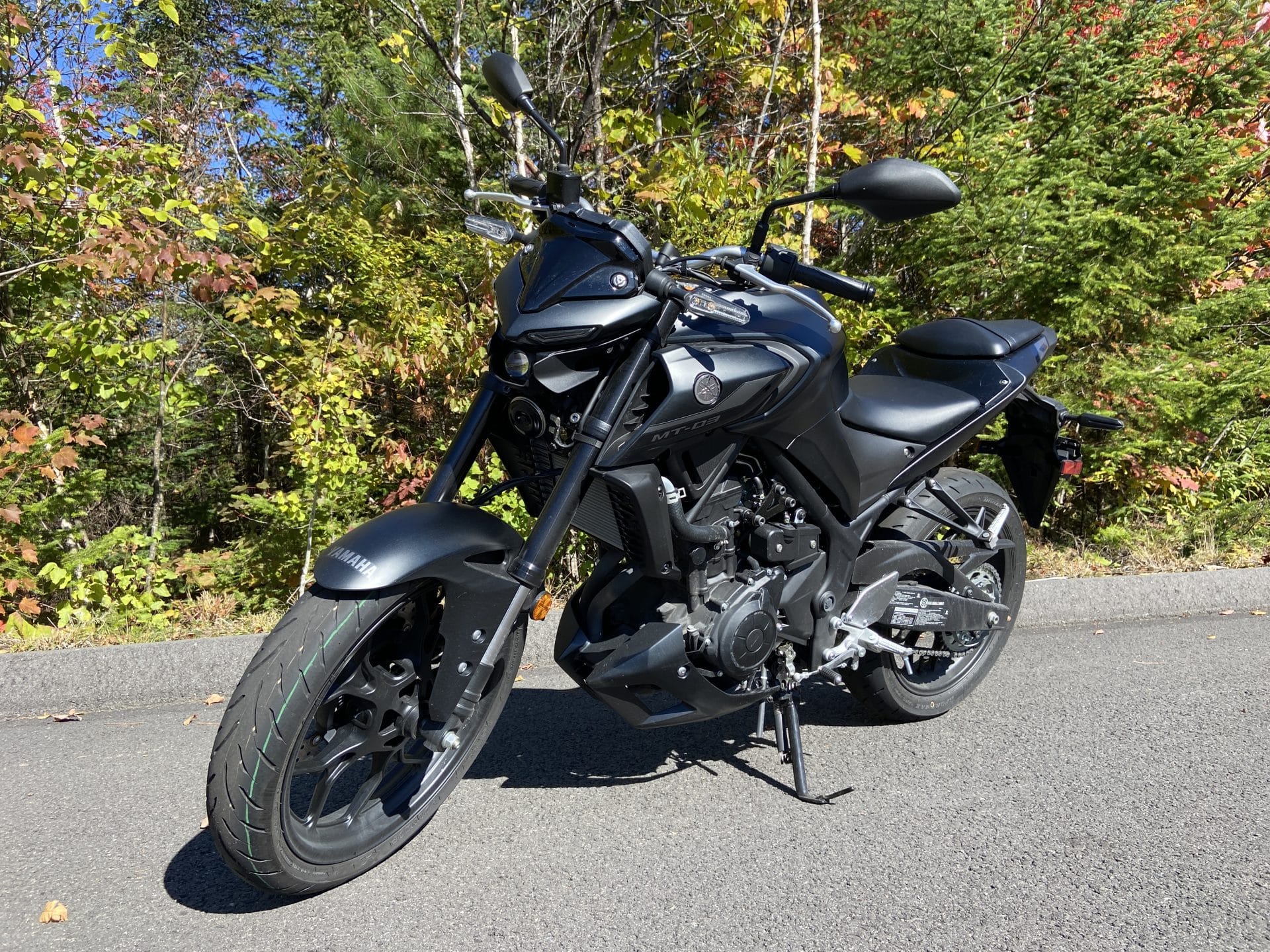  MT 03
